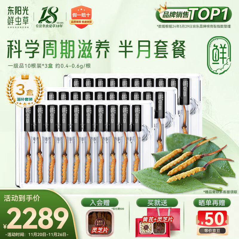 东阳光鲜虫草0.4-0.6g/根30根冬虫夏草滋补品送长辈老人源头直发包邮