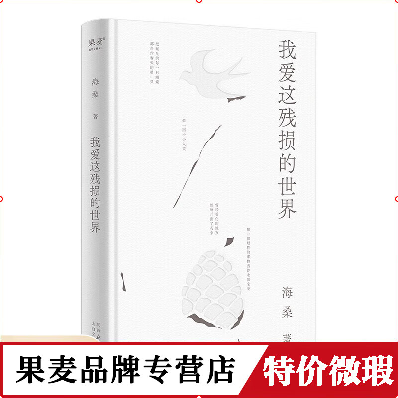 【正版微瑕】 我爱这残损的世界 海桑全新诗集 小嘉推荐  诗歌 我是你流浪过的一个地方作者 用心描述生活细节里的真美 果麦出品