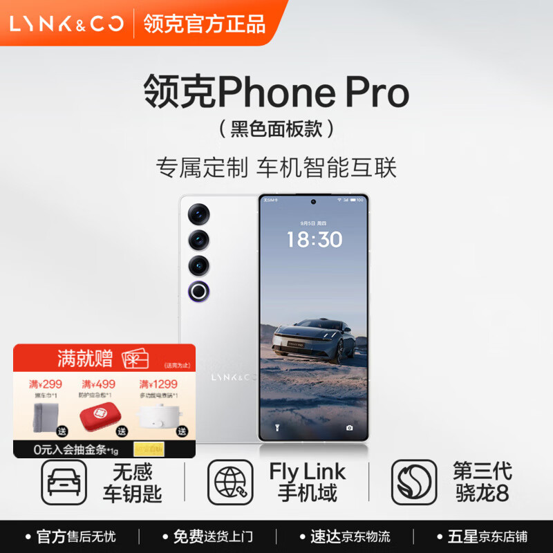 ֻ Phone Pro ˶ư 16GB+512GB » ɫ