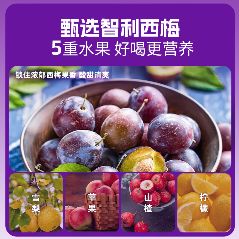 生和堂益生元西梅汁500ml瓶装0脂肪西梅含膳食纤维果蔬汁饮品 1瓶装益生元西梅汁