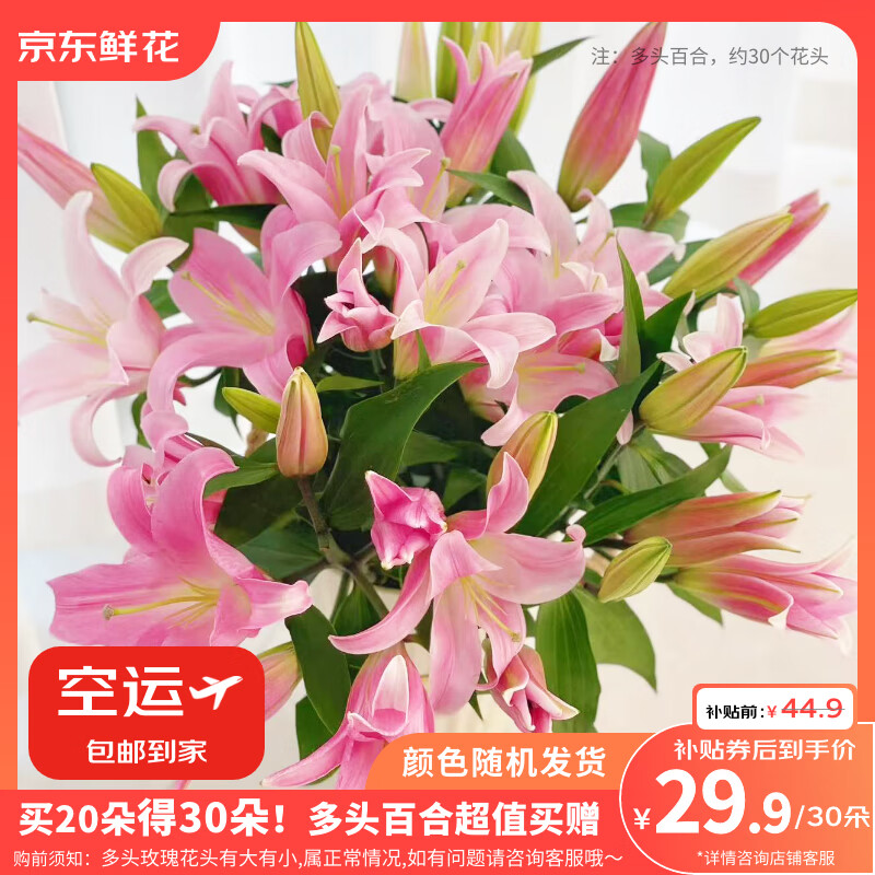 京东鲜花20朵百合送10朵共30朵随机色鲜切花圣诞节元旦节送老婆源头直发