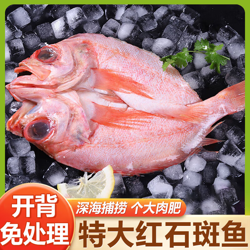 ڲϺϺ;ʯ䶳⴦㸻㺣㺣ˮ ⴦400-500g/*2 59.9Ԫ