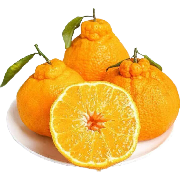 �����򣺾�ѡ��ɽ���� �������� �������� ������� 5��װ 5.99Ԫ