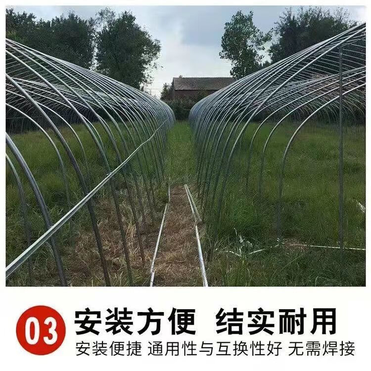 墨薰槿大棚骨架全套种植养殖专用抗风雪加厚简易棚支架温室大棚钢