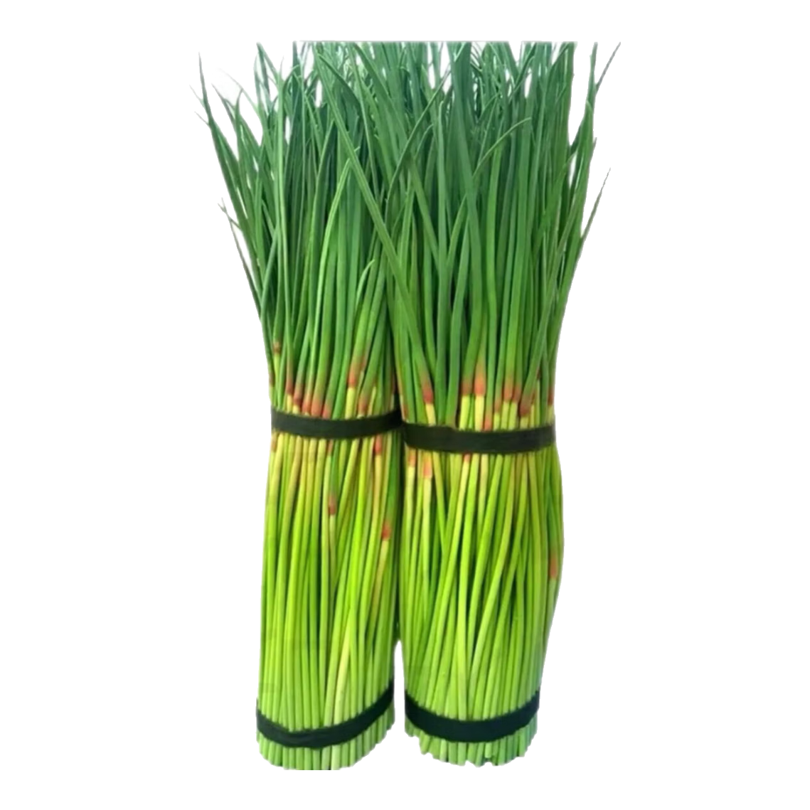 �����߲� ũ����޷ ����Ʒ�� �����ó� 1��Ʒ��װ 1.9Ԫ