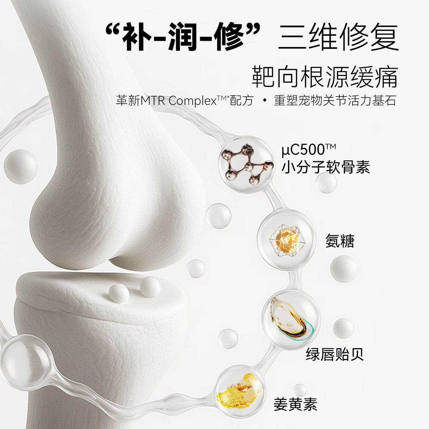 COCO PHIL158倍小分子 鲨鱼软骨素猫用 猫咪关节保护 宠物营养补充剂 猫用小分子鲨鱼软骨素专业版