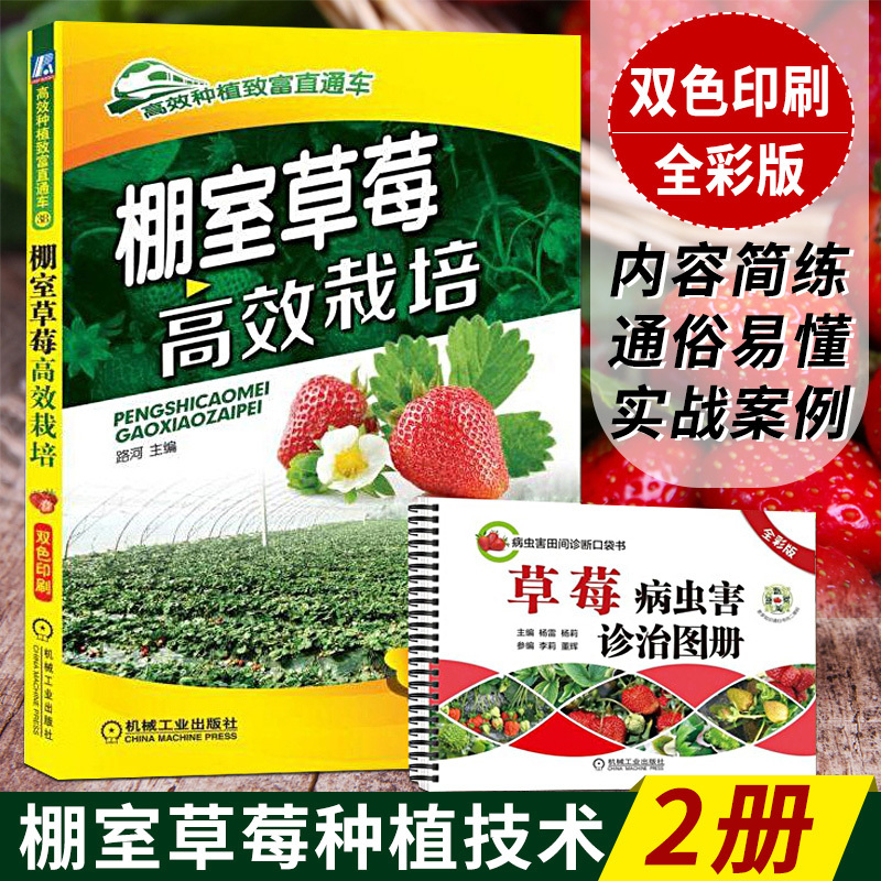 草莓种植栽培技术大全书籍棚室草莓高效栽培+草莓病虫害诊治图册 大棚草莓种植病虫害防治教程 草莓育苗栽