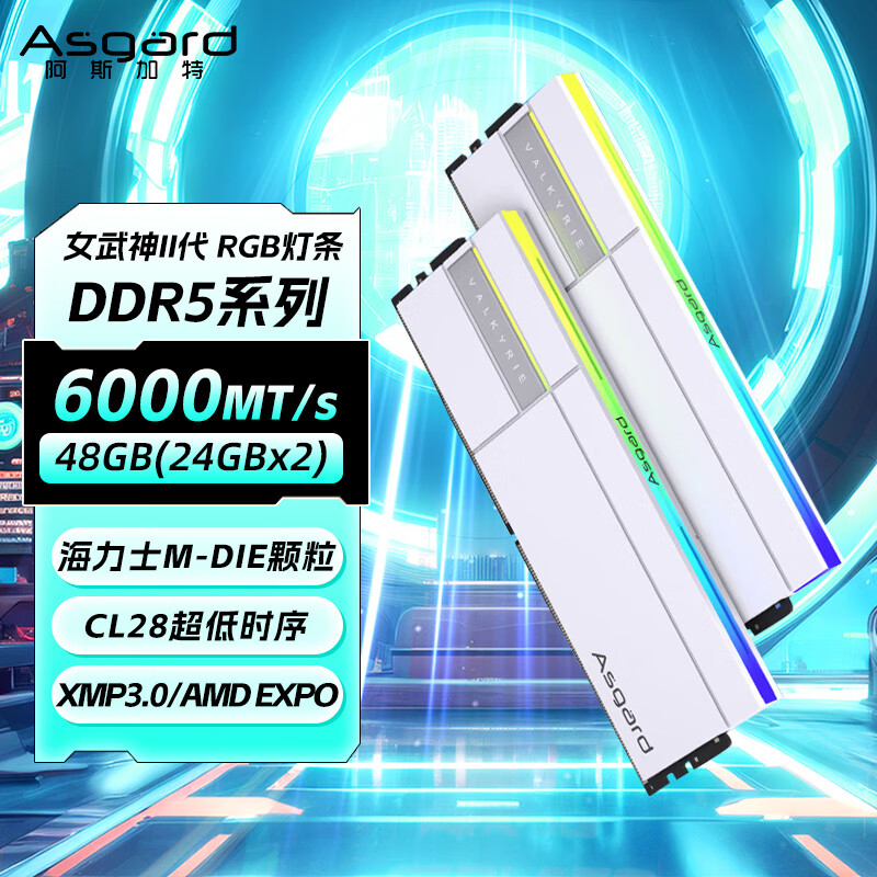 阿斯加特（Asgard）48GB(24GBx2) DDR5 6000 台式机内存条 女武神·瓦尔基里II代 RGB灯条 海力士M-die CL28 极地白