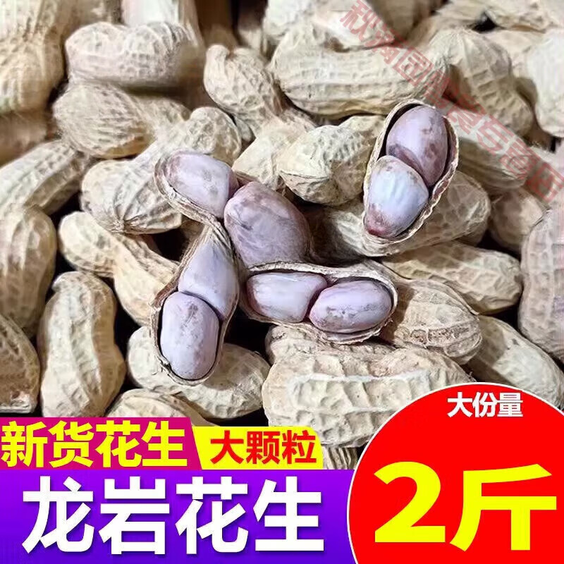 龙岩水煮花生蒜香味1000g带壳盐咸晒干花生米福建特产酒鬼零食 白晒水煮味龙岩花生2斤