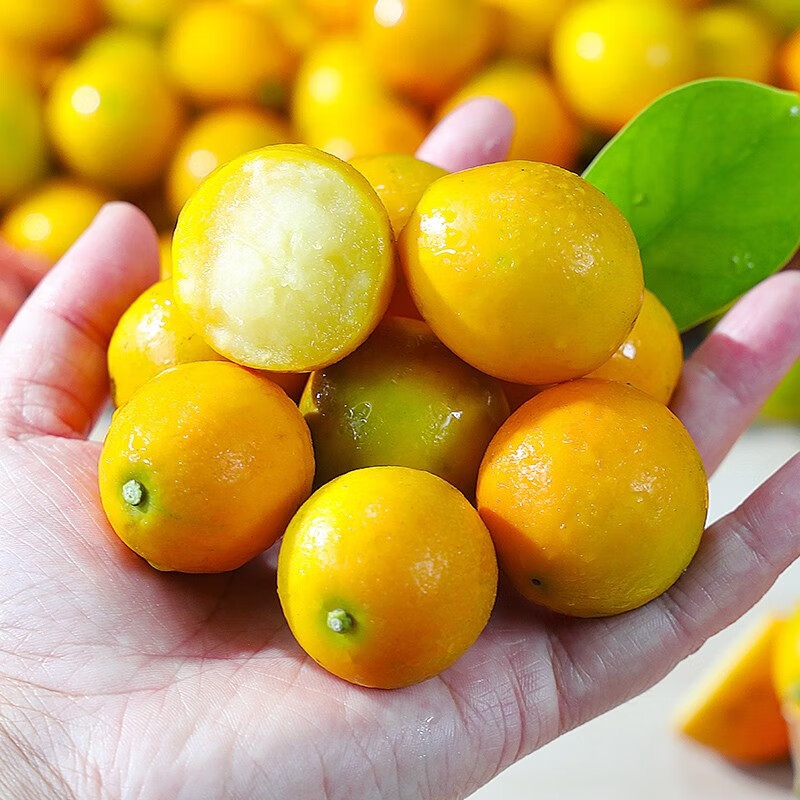 禾境风物 脆蜜金柑一级果3斤家庭装 单果28-34g 顺丰包邮 日进斗金5A礼盒 25枚装