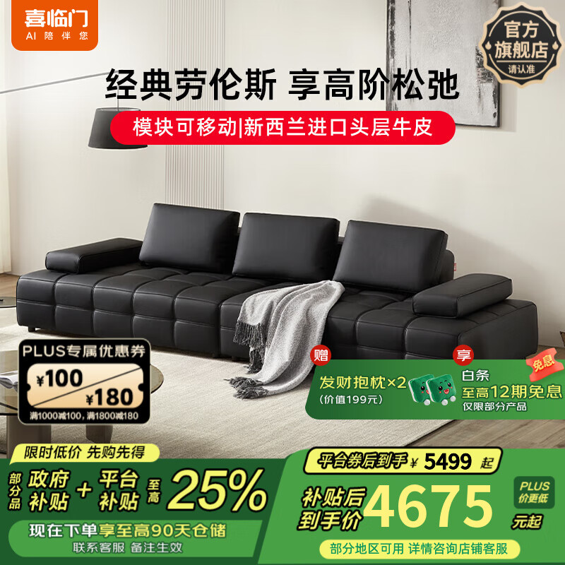 ϲ������Ƥ��ɳ�������ִ���Լ2025�¿��С���ʹ���������˹ҹ�� ī����-4��λ-312cm