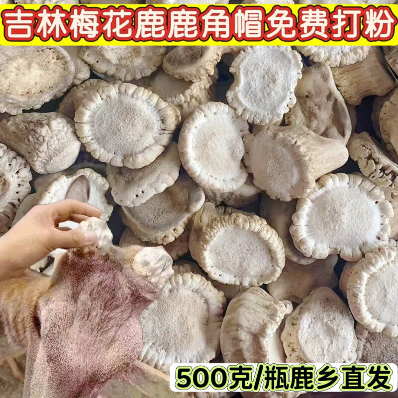 同仁堂(TRT)鹿角帽粉梅花鹿干粉托盘脱盘整个鹿角帽胶囊吉林长春双阳直发 250克鹿角帽粉【好货不便宜】