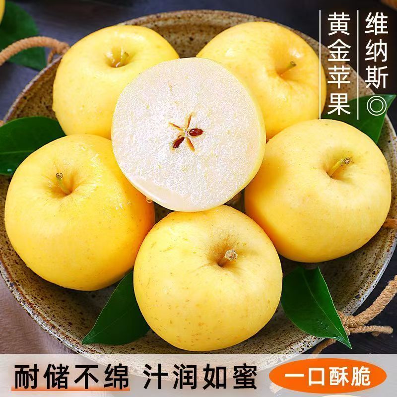 【顺丰发货】云顶金斑云南维纳斯黄金苹果浓香浓甜 家庭装/礼盒装 家庭装4斤大果
