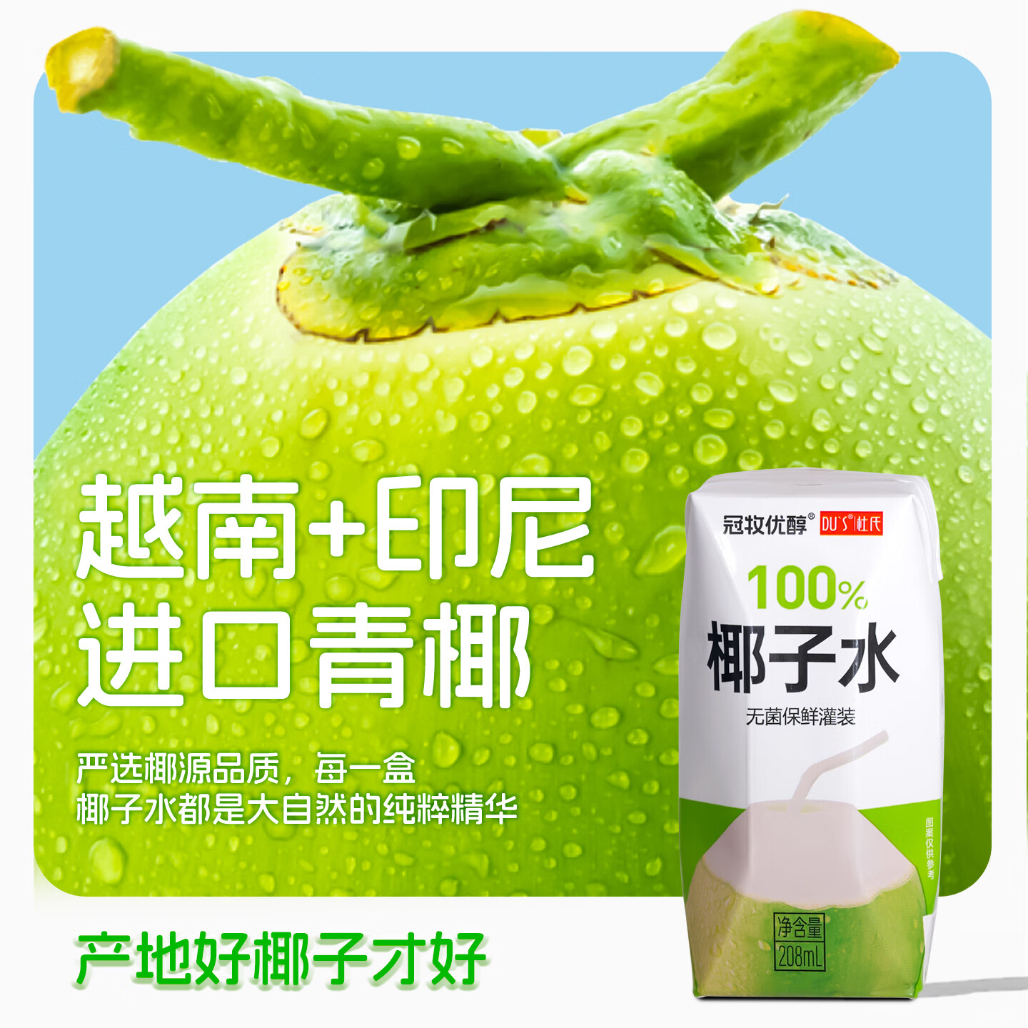 DU'S杜氏100%椰子水果汁饮料 东南亚进口椰源 208ml*12盒/箱 年货节 100%椰子水-整箱12盒