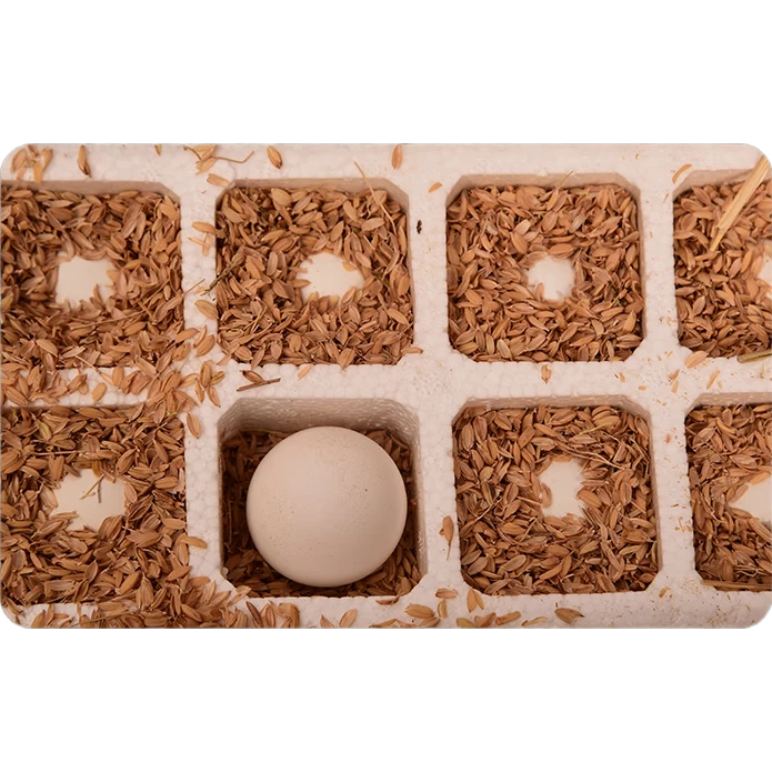 小蛋佳邯郸特产农家鲜鸡蛋无抗生鲜鸡蛋谷物鸡蛋单枚50克 50克鲜鸡蛋 10枚