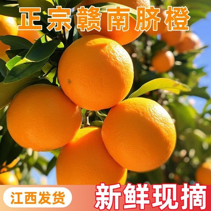 粤迎赣南脐橙橙子正宗精品当季新鲜水果手剥橙子原产地直发香甜好 10斤精选果【香甜多汁】净9斤