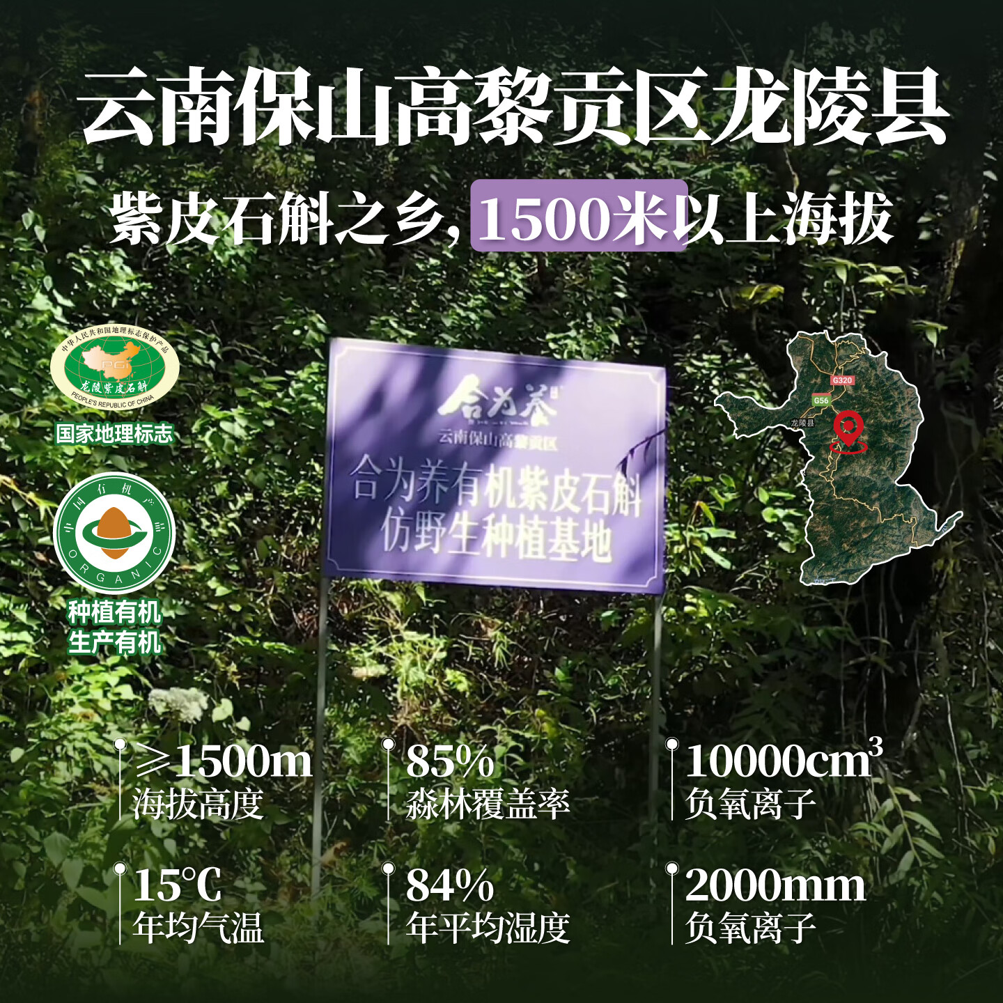 合为养紫皮石斛原浆囤货装云南有机石斛原汁原浆液传统滋补养生饮料饮品 紫皮石斛900*1袋