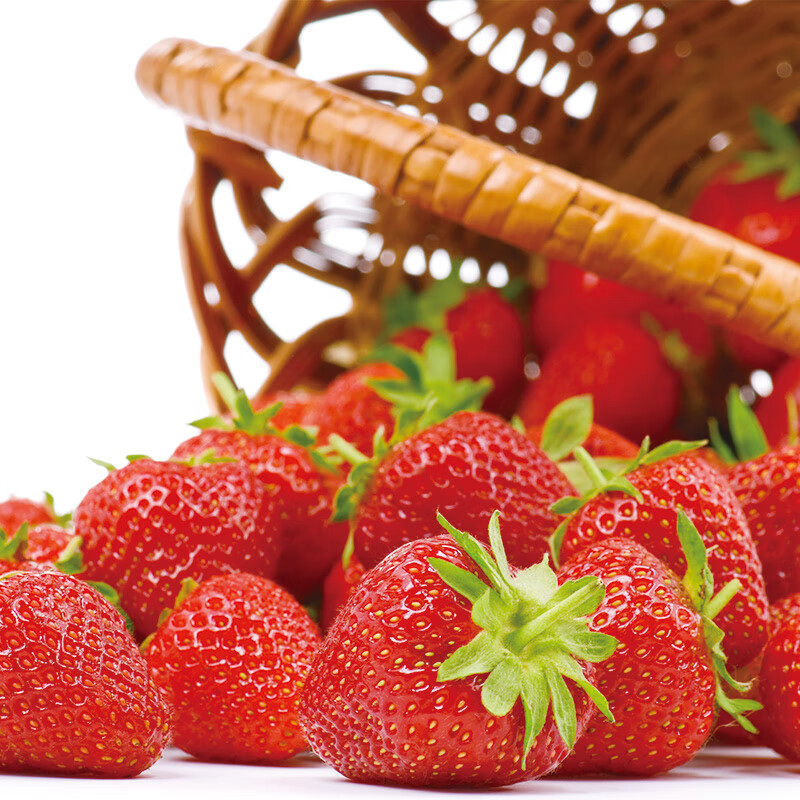 大凉山露天甜草莓新鲜草莓鲜果现摘现发露天种植更健康德昌冬草莓 2斤装草莓中果：净重1.5斤（单果13g+）