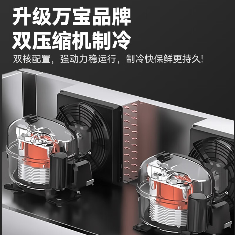雪花展示柜蔬菜水果保鲜柜全钢全铜冰柜双开门三门商用四门六门超市饭店火锅串串立式冷冻冷藏冰箱 风冷系列丨大二门-风冷无霜丨全冷藏