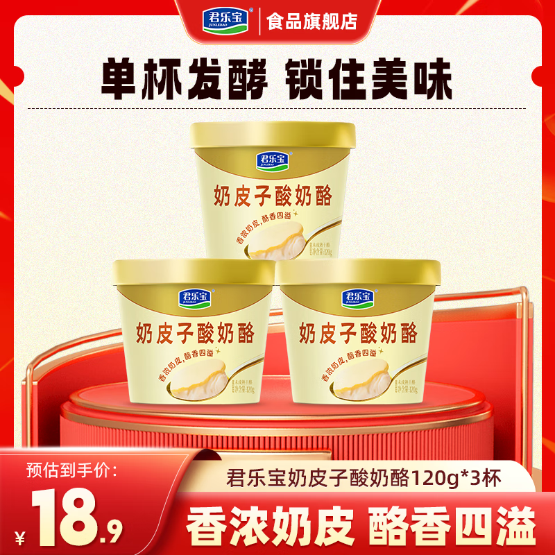 君乐宝奶皮子酸奶酪单杯120g发酵低温酸奶100%生牛乳奶源低温酸奶酪 奶皮子酸奶酪120g*3杯