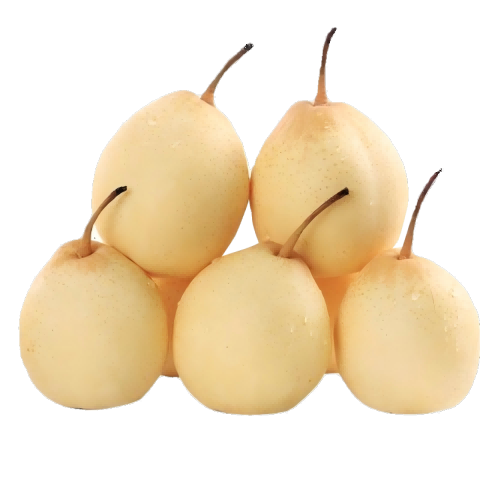 京鲜生河北特产水晶鸭梨 净重5斤 单果200g+ 生鲜水果 源头直发一件包邮