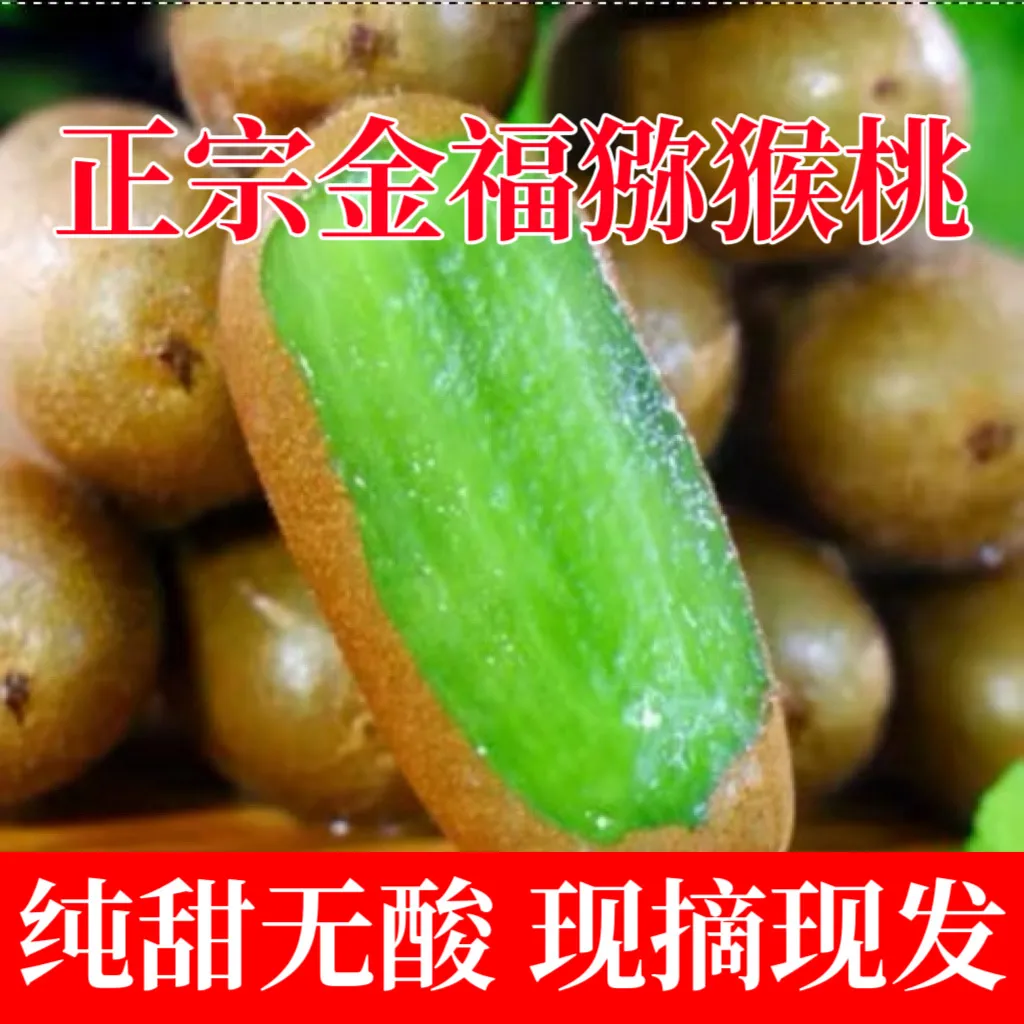 金福猕猴桃绿心猕猴桃应季孕妇当季水果奇异果精品新品种批发价 带箱3斤约22枚左右50-70克