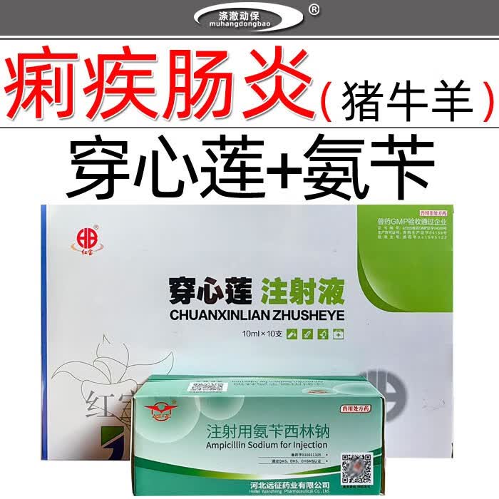 兽药兽用穿心莲注射液氨苄西林钠猪牛羊肠炎肺炎仔猪白痢