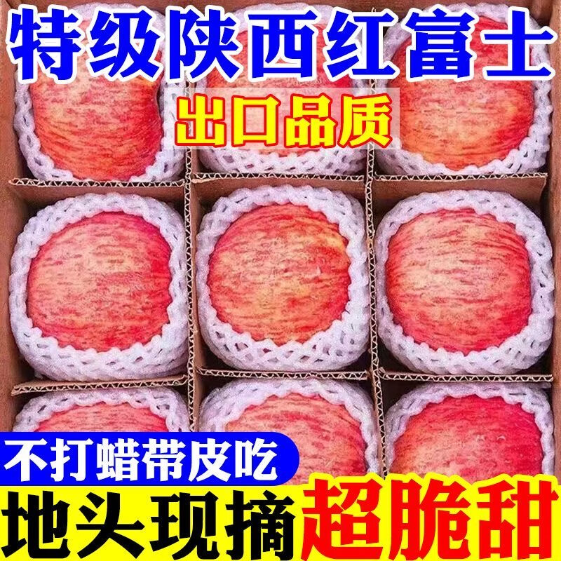 【现摘】正宗洛川苹果当季新鲜水果孕妇脆甜红富士苹果冰糖心水果 膜袋富士70mm+带箱9斤