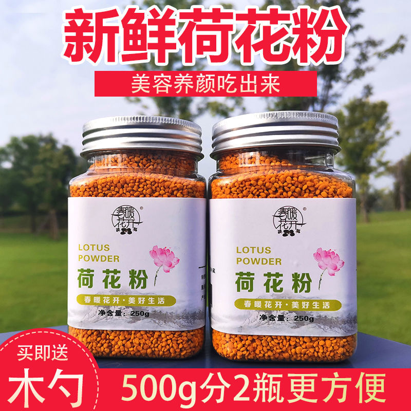 新鲜荷花粉 天然荷花花粉蜂花粉农家自产 人吃莲花粉食用250g 500g 荷花粉500g(送勺子)