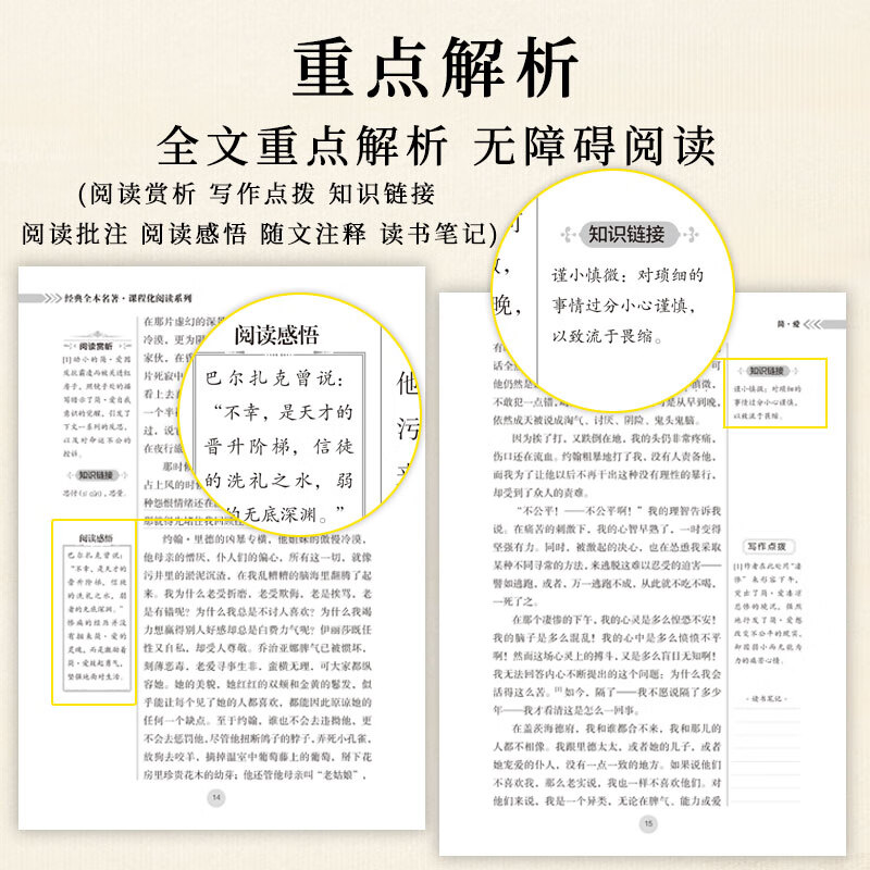 【官方正版包邮】儒林外史 简爱和儒林外史 吴敬梓原著全套九年级下册必读正版课外阅读书籍推荐 水浒传 唐诗三百首 初中生初三9下学期语文书目文学名著 儒林外史简爱人民教育出版社 【热销2册】儒林外史+简