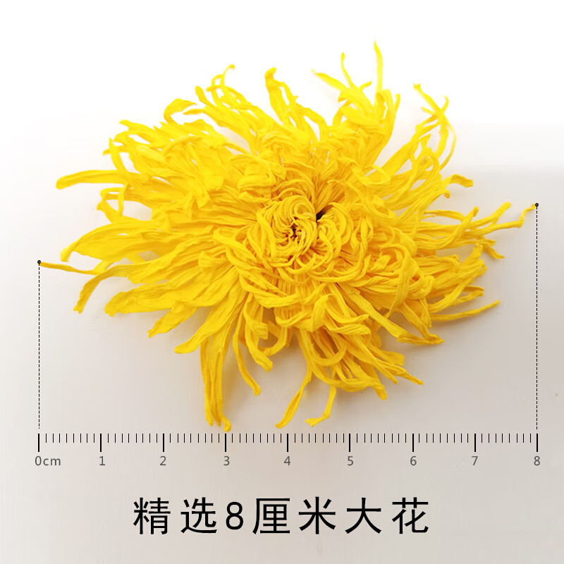 芽典 黄菊 金丝皇菊菊花茶 一朵一杯 精品罐装25克*1罐