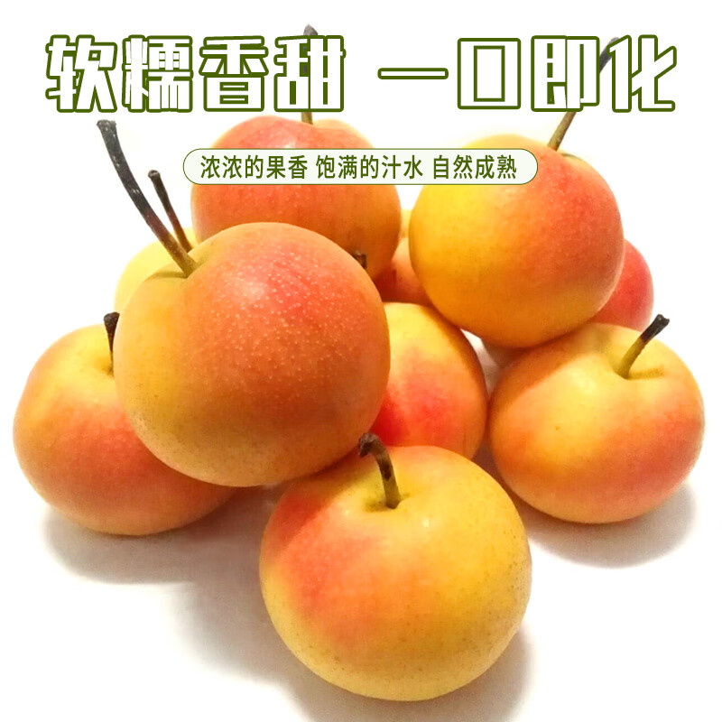正宗南果梨 辽宁鞍山南国梨东北特产香水梨 新鲜水果产地直发 家庭装 黄南果净果4.5斤(40枚小果)