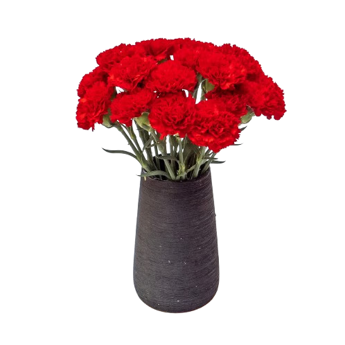 ܰʻϻֱŮﻨɫڳϦ5 ɫܰ10֦