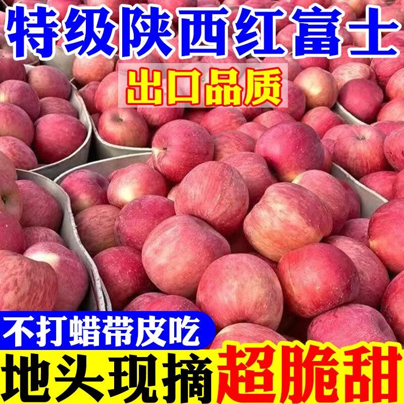 【现摘】正宗洛川苹果当季新鲜水果孕妇脆甜红富士苹果冰糖心水果 膜袋富士70mm+带箱9斤