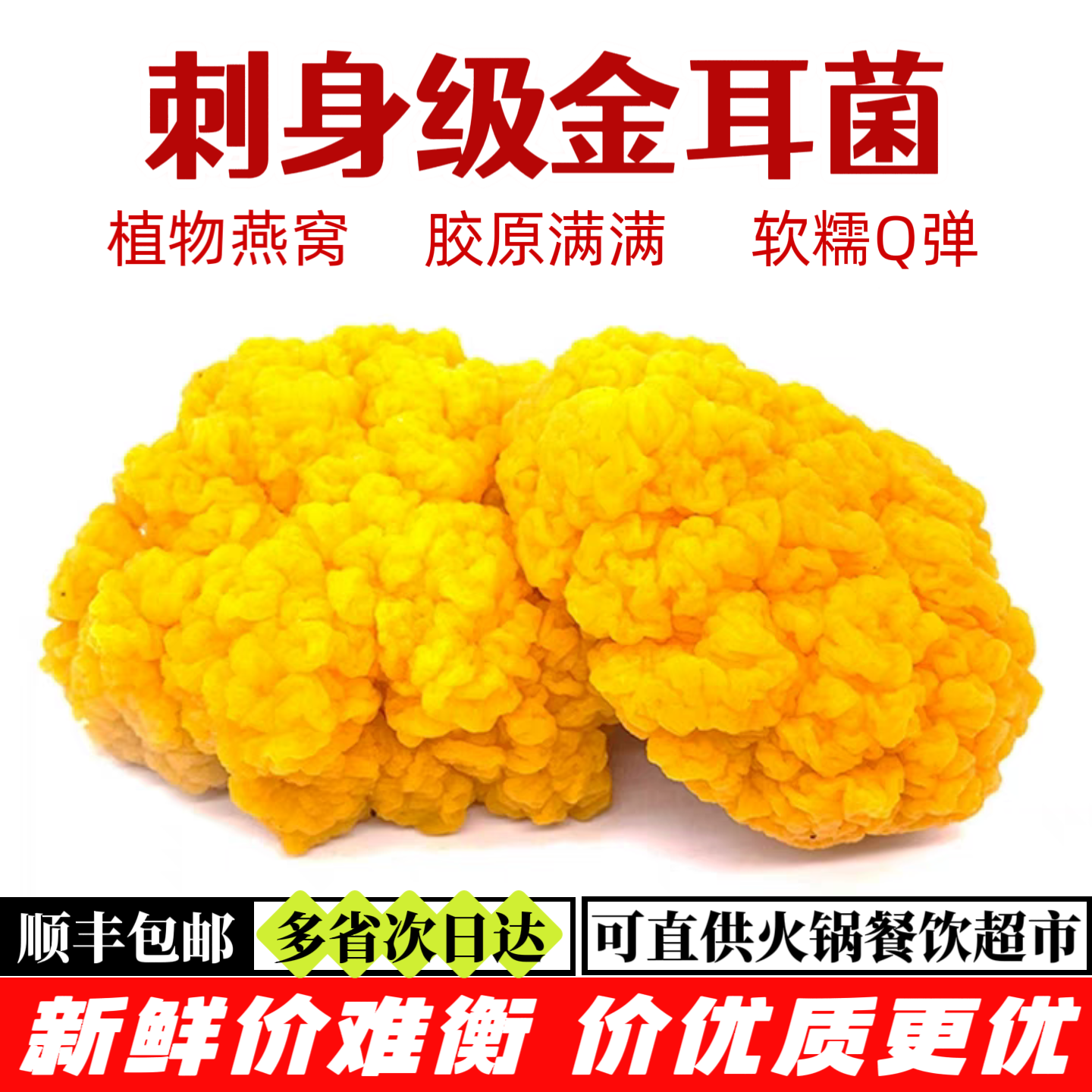 新鲜金耳菌【顺丰包邮】云南黄金耳菇 可生食 刺身 火锅 高端食材 500g