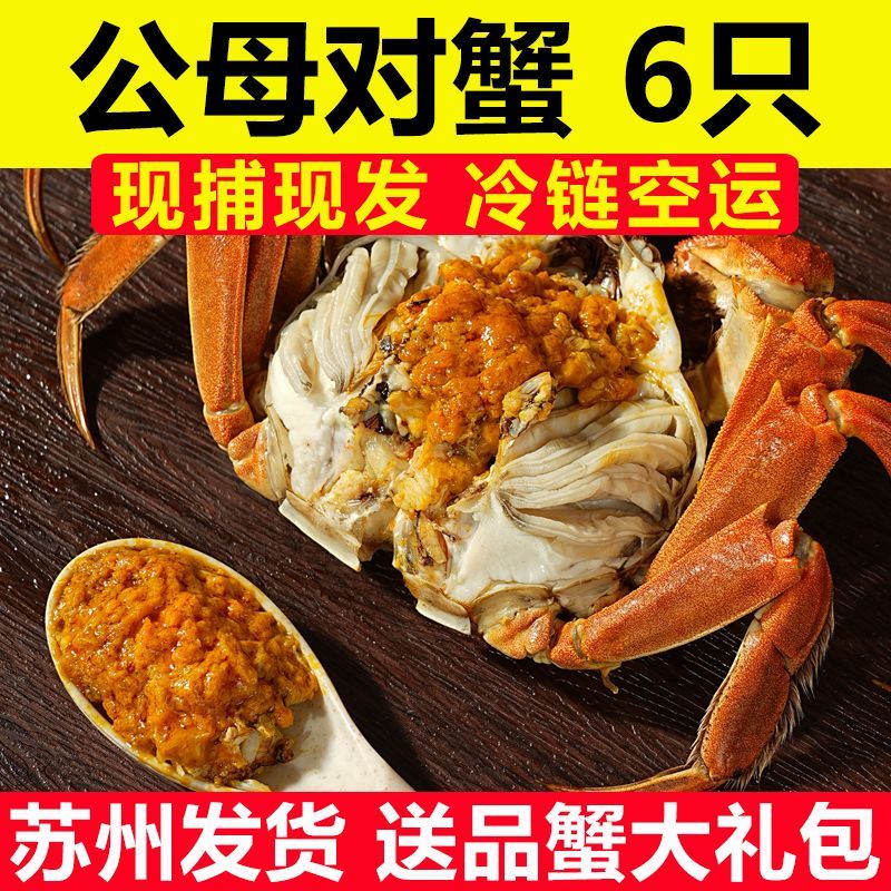 【现货】鲜活大闸蟹公母螃蟹生鲜海鲜水产礼盒6/12只含绳苏州发货 现捕现发 航空冷链运输 无黄死蟹包赔 【公2.8-2.5 母1.5-1.3】6只