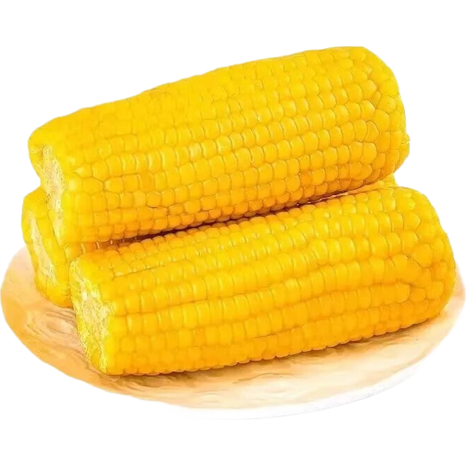 ���ڲ�������Դ���� ������Ŵ���� 10֧ 300g-350g/֧ 16.9Ԫ