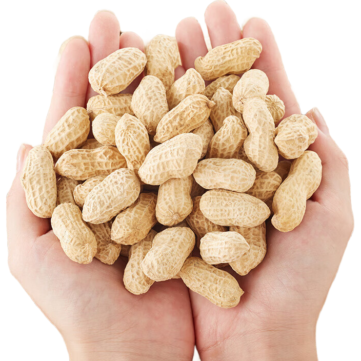 20�㣺���� ���������ɹˮ������ ������ʳ�ز� �¾Ʋ� 500g 5Ԫ/�����ʣ���һ��һʵ��10Ԫ����������Ʒ