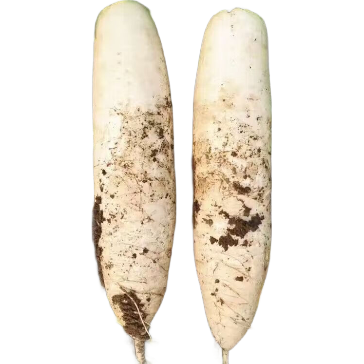 ���ʰ��ܲ�������Ƥ���ˬ�ڰ��ܲ�ũ�����ִ���Ȼ�������ܲ��߲� ���ʰ��ܲ�2�� ���� 3.99Ԫ