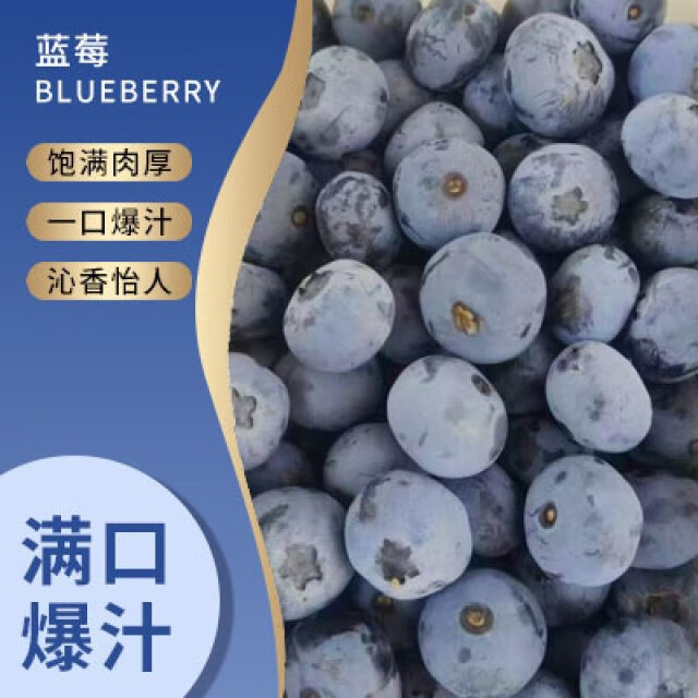 周匠当季现摘新鲜云南蓝莓 源头直发 京东快递到家 18mm+6盒 店长主推爆品(1盒125g) 京东折扣/优惠券