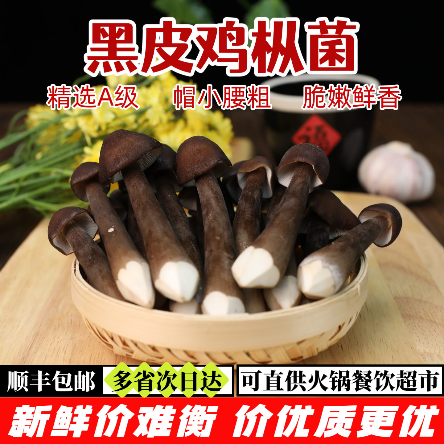 新鲜黑皮鸡枞菌【顺丰包邮】云南菌菇 鲜香脆嫩 炖汤炒菜火锅食材 500g(精选)