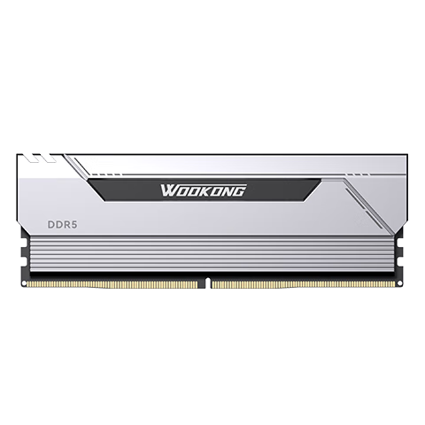 άBIWIN48G(24G2)װ DDR5 6000Ƶ̨ʽڴ սHX100 (C28)ɫAI PCԴ洢 2699Ԫ