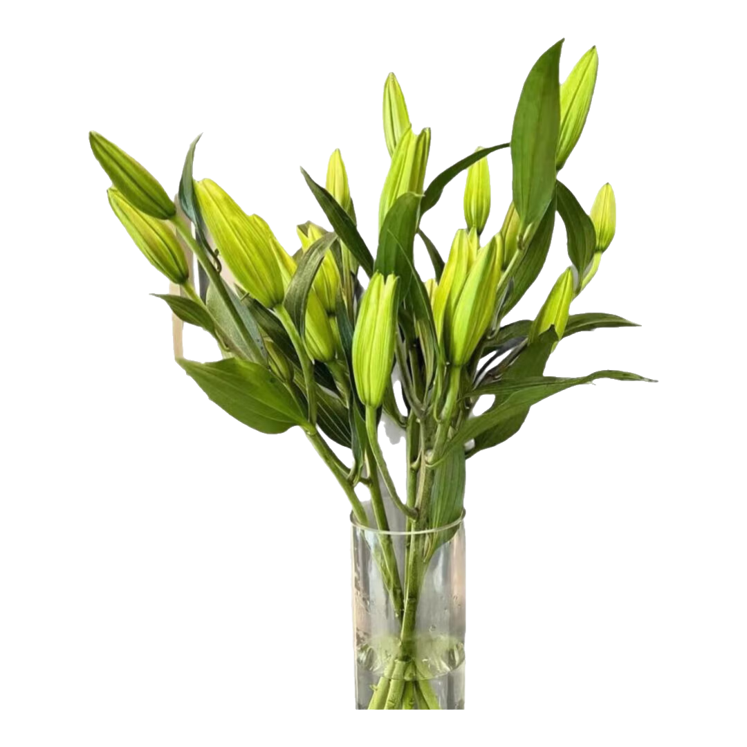 【香水百合】花店同款七夕礼物送人鲜花云南基地直发混搭鲜切花1 随机特价百合6朵（不指定品种，颜色）