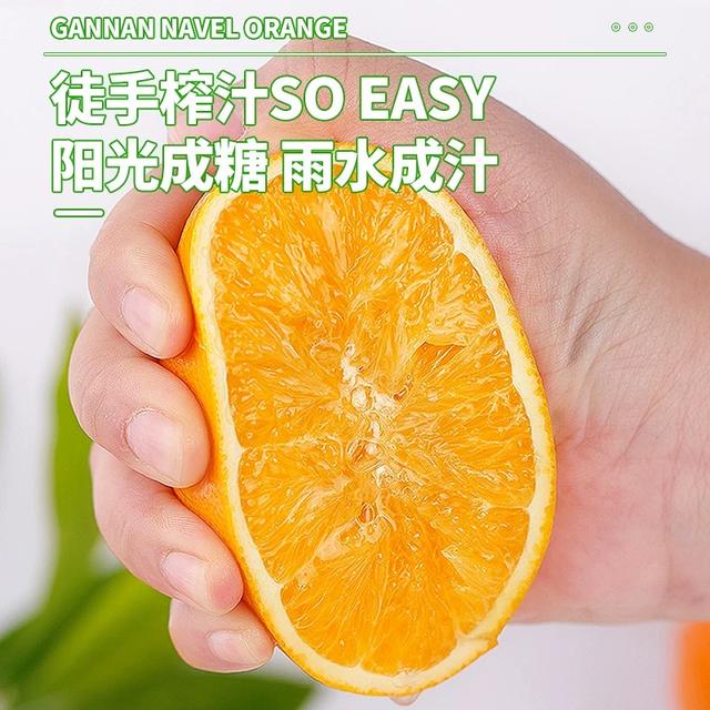 【正宗赣南脐橙】江西赣南脐橙产地直发新鲜现摘当季水果橙香浓郁 5斤（净重4.5斤）人工精选老树果 80-85mm（大果  单果200克以上）