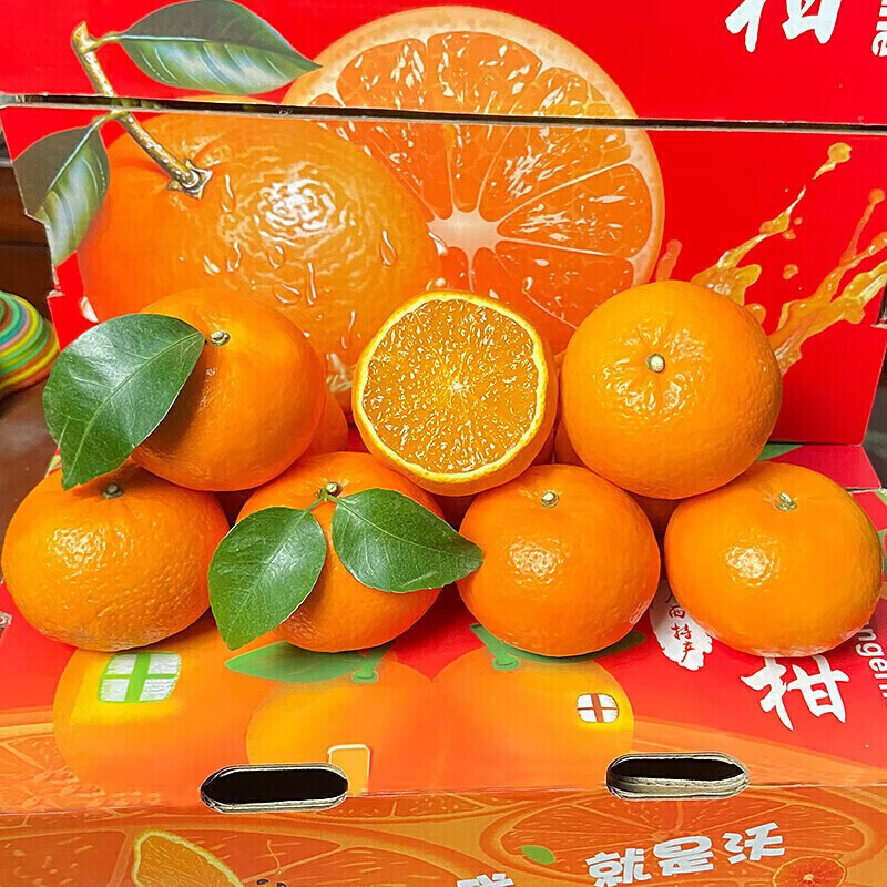 广西沃柑武鸣 纯甜柑橘桔子薄皮多汁沃柑新鲜当季水果 5斤中果果径约60mm