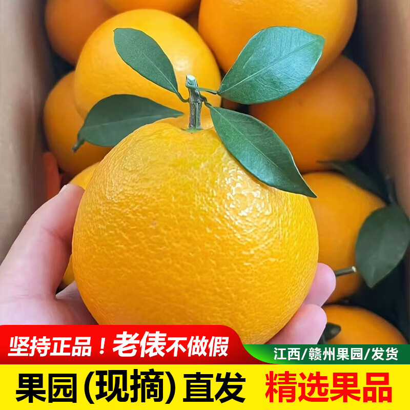 赣南脐橙江西正宗赣南脐橙新鲜水果现摘产地直发10斤整箱甜橙手剥榨汁孕妇 5斤装精品65-75mm中大果【试吃装】