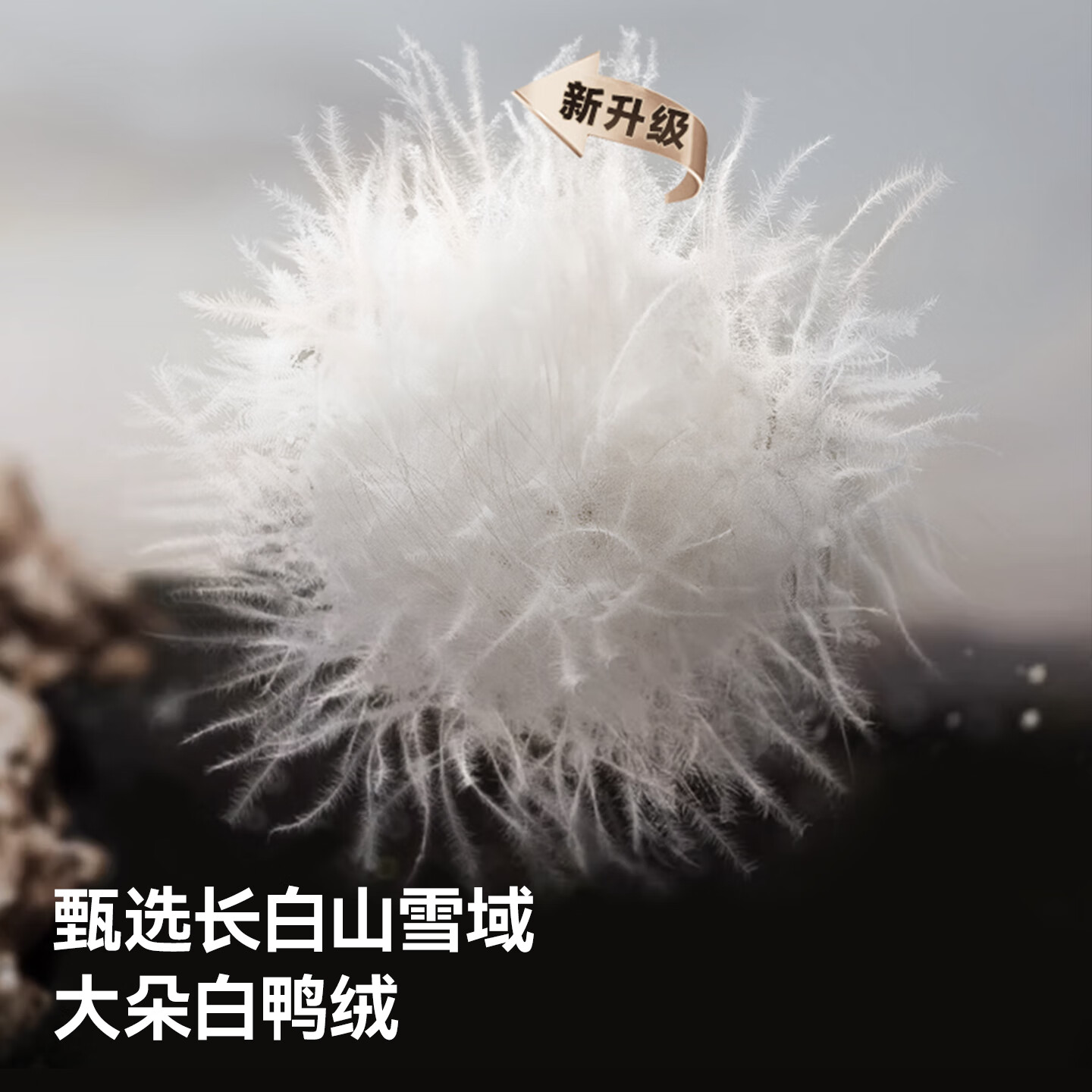 贝肽斯儿童羽绒裤冬季新款男女童宝宝束脚防寒90鸭绒保暖裤 黑色 140 cm