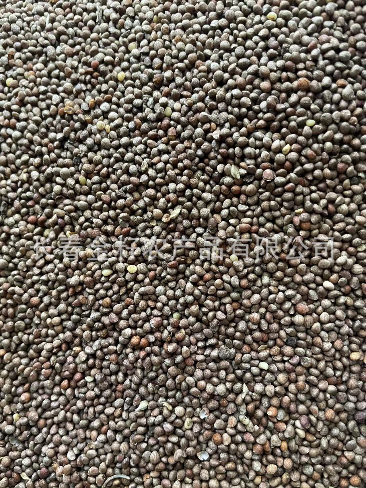 紫苏子 东北苏子 烧烤料 榨油原料 大粒苏子 月饼原料 熟苏子 生紫苏