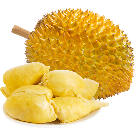 �������� ̩���������� 2.5-3.5�� Һ�������䶳 ����ˮ�� 99Ԫ(����ȯ)