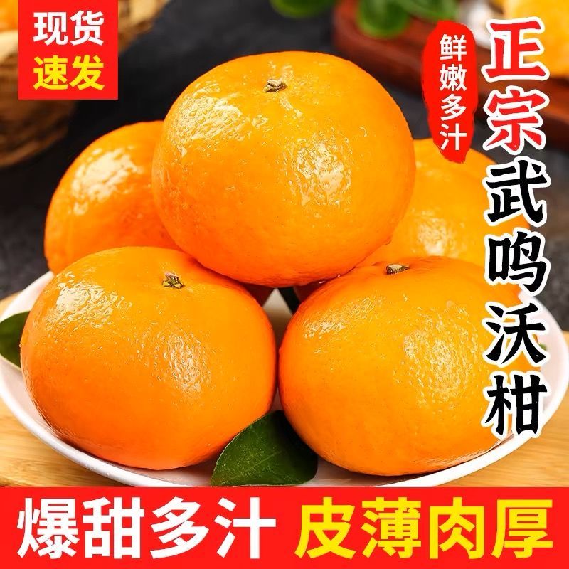 千园九味广西武鸣沃柑 薄皮新鲜丑桔子当季生鲜水果橘子现摘整箱 优选5斤装特大果【净重4.5斤单果70-75mm】